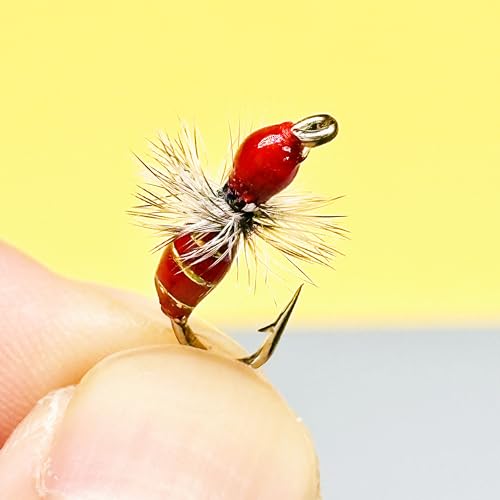 10Pc Hand Tied Fly Flies Fly Fishing Lure (Red)