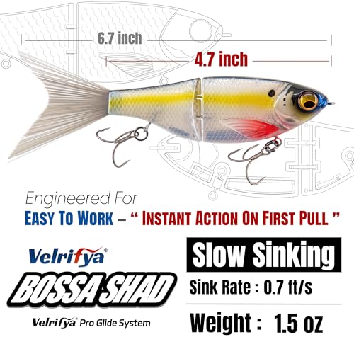 Bossa Shad Glide Bait for Bass Fishing (04-Tiger Perch)
