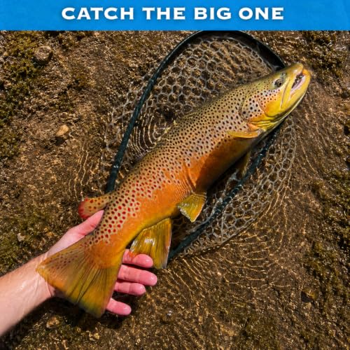 Zebra Midges for Fly Fishing 12 Pack