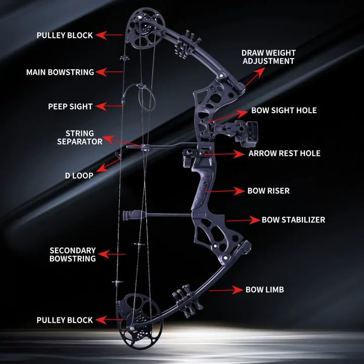 30 65LBS Compound Bow、Bow Fishing Combo Kit、Fishing Bow and Arrow with Reel