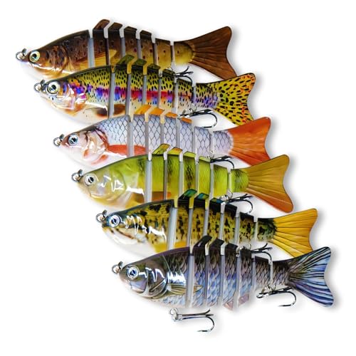 6PCS Fishing Lures for Freshwater and Saltwater with case