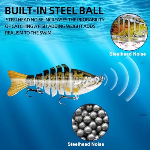 6PCS Fishing Lures for Freshwater and Saltwater with case