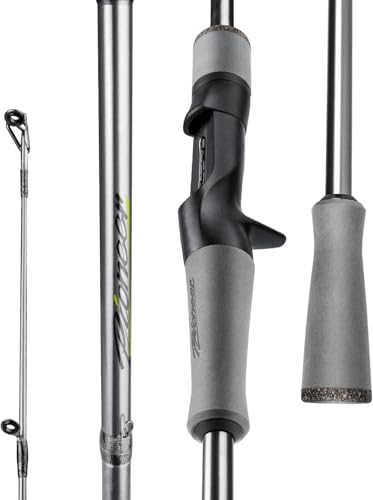 Pioneer Fishing Rod 2