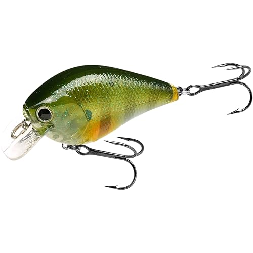 Fat CB BDS2 Fishing Lure