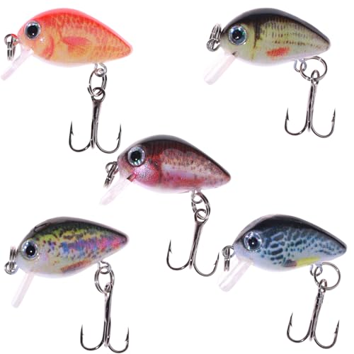 Bass Fishing Lures
