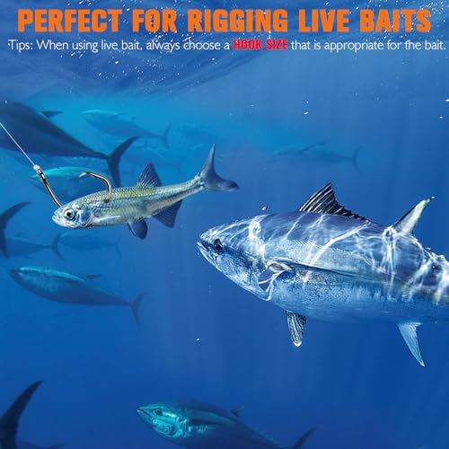 Circle Hooks Saltwater 3X Strong Circle Fishing Hooks for Catfish in (7/0-25pcs)