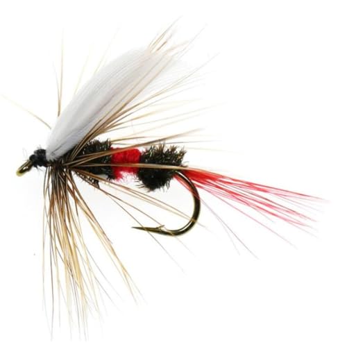 24Pcs Fly Fishing Flies Trout Lures Fishing Tackle Fly Fishing Flies with Boxed Trout Bass Artificial Fish Bait (24Pcs-Royal WulffFly)