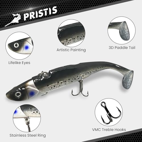 Pre Rigged Fishing Plugs for Saltwater Freshwater Bass Walleye (Jig Head Soft Lure Dark Set)