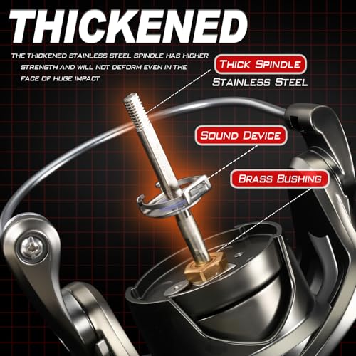 Spinning Reel