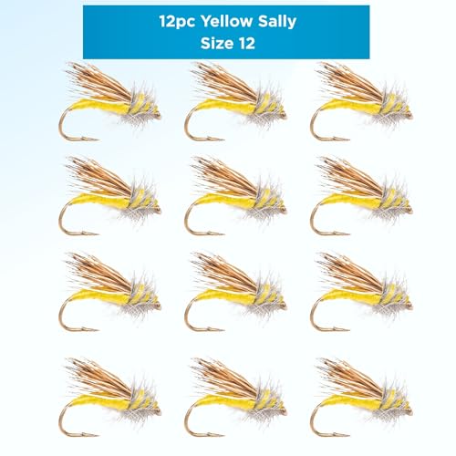 Yellow Sally 12 Pack (12)