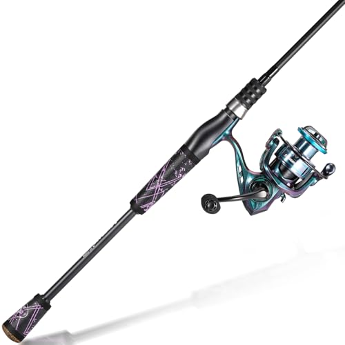 Fishing Rod Reel Combo (Spinning Combo / 6'0"Medium-Fast)