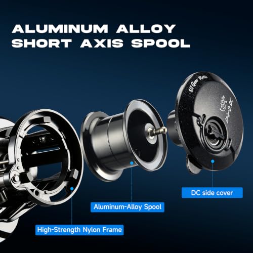 DC Baitcaster Reel (LSII(DC) / Left)