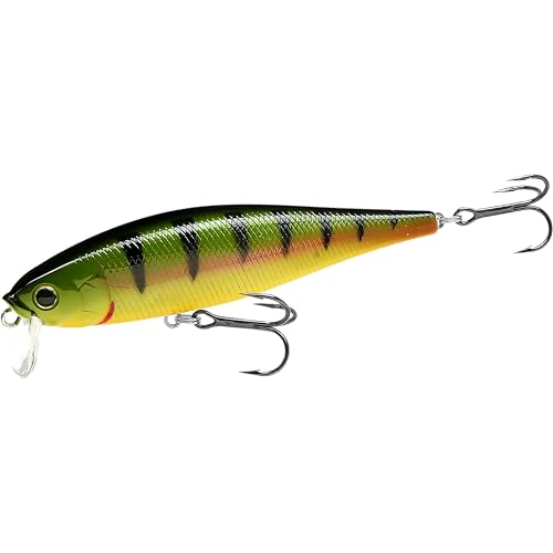 Pointer 100SSR