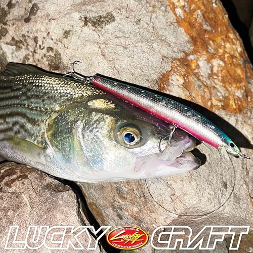 FlashMinnow 125 YAWARA Saltwater Fishing Lure