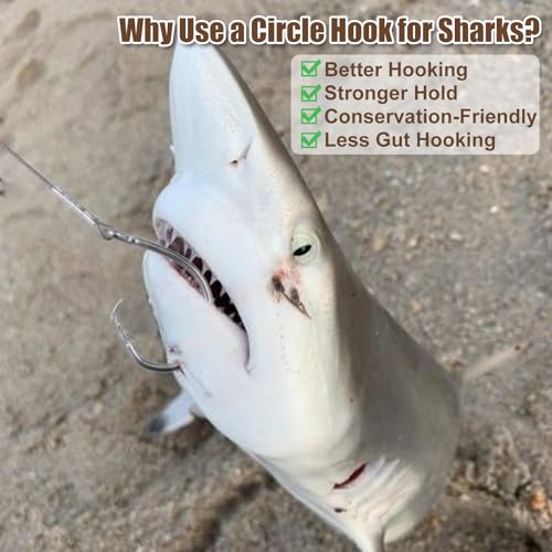 2 Pack Pre Tied Shark Fishing Hook Rigs Heavy Duty Stainless Leader Wire and Big Game Circle Hooks 14 (16/0 - 2 PCS)