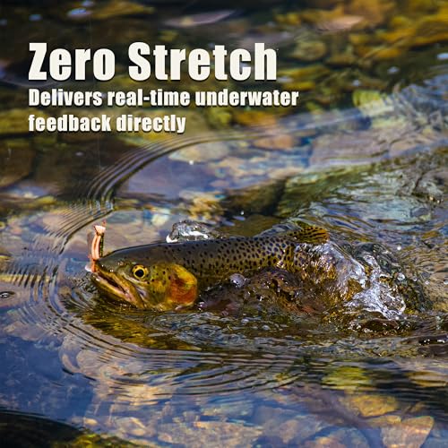 Braided Fishing Line