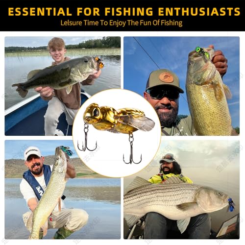 Top Water Fishing Lures