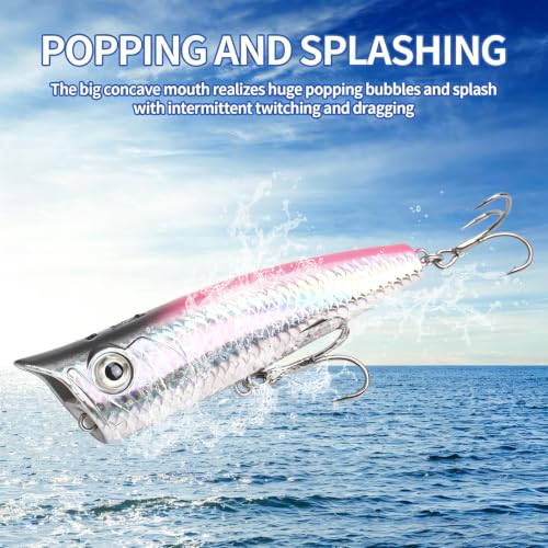 Top Water Popper Lures (5pcs scale)