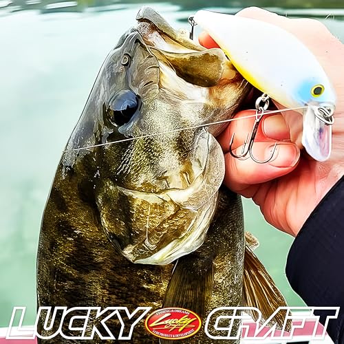 Pointer 128 238 Ghost Minnow (238 Ghost Minnow)