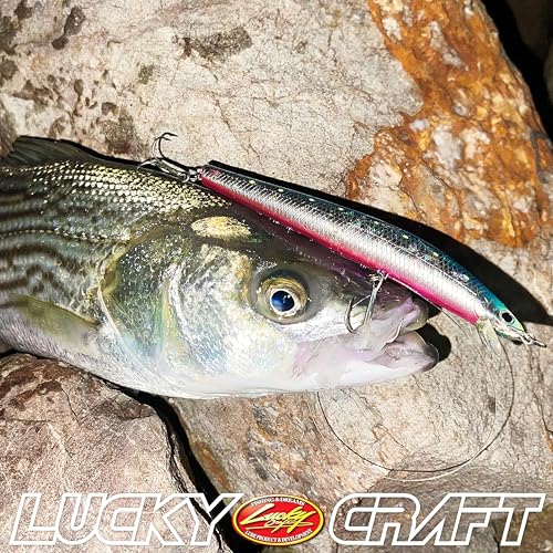 FlashMinnow 125 YAWARA Saltwater Fishing Lure (With Scale / 7775 Super Glow Zebra Metallic Anchovy / 125F)