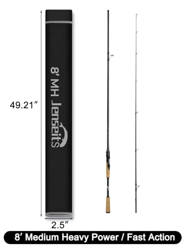 8Ft Spinning Fishing Rod (8'0"-Medium Heavy-Fast-Black)