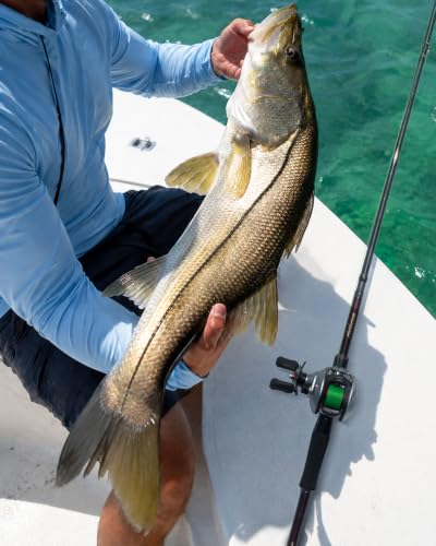 AETHERON Seabass Spinning Rods (9'-MH / Casting-Mod Fast)