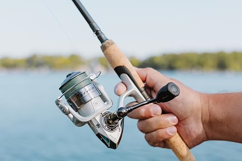 Trion Spinning Reel (2022 Model / 30 - Clam)