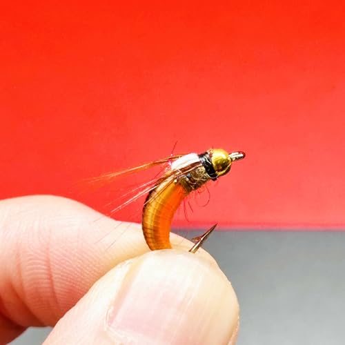 10Pc Wet Flies Bait Fly Fishing Flies for Bass Trout Pike Salmon Brass Head Caddis Nymph Handmade Fishing Bait Artificial Insect Fishing Lure (Orange)