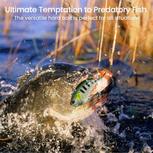 3 pcs Lipless Crankbait for Bass Fishing (3 pcs Lipless Crankbaits Dark Set)