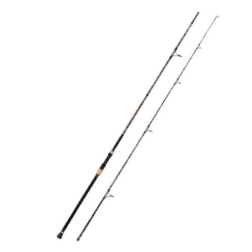 Surf Fishing Rod (12' - Heavy - 20-40lb - 2pc)