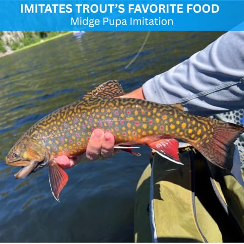 Zebra Midges for Fly Fishing 12 Pack