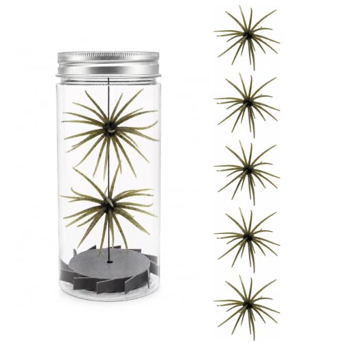 5PCS Urchin Baits for Bass Fishing