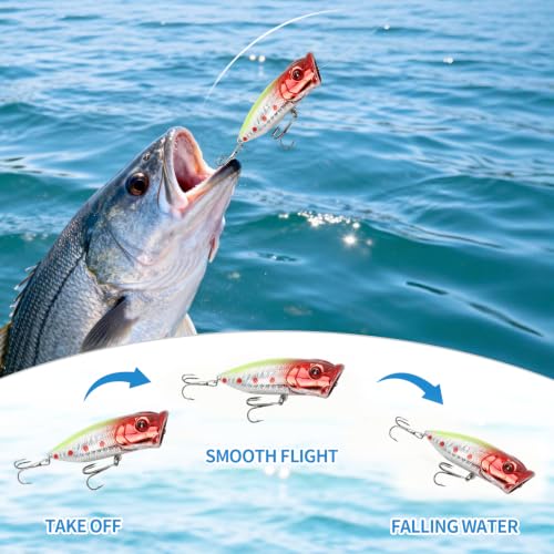 Top Water Popper Lures (5pcs Dot)
