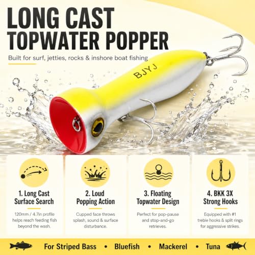 Topwater Popper Fishing Lure