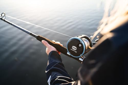 Warfare II Level Wind Conventional Fishing Reel