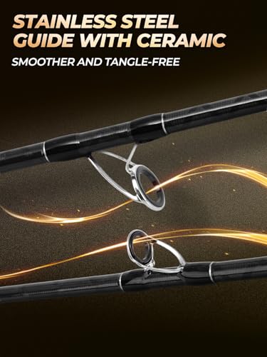 8Ft Spinning Fishing Rod (8'0"-Medium Heavy-Fast-Black)