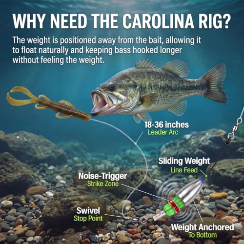 Carolina Rig for Bass Fishing