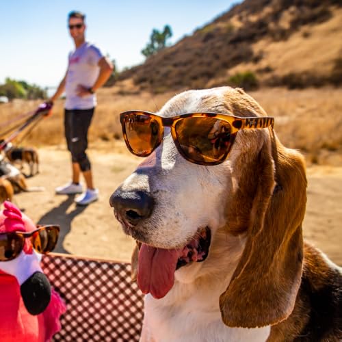 Bosley's Basset Hound Dreams Polarized Sunglasses