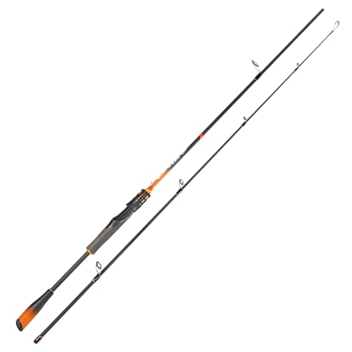 IM6 Graphite Fishing Rod