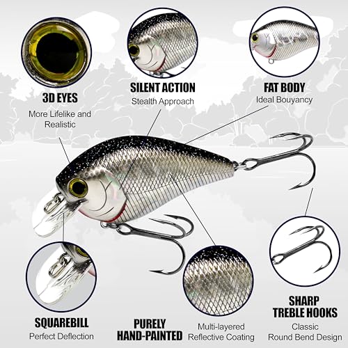 Fat CB BDS2 Fishing Lure