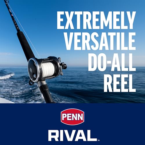 Rival Level Wind Conventional Boat Fishing Reel (Old Model / 20)