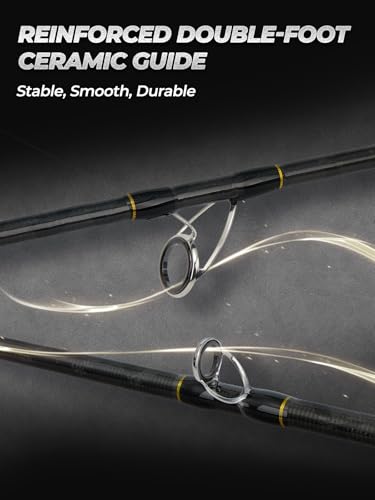 8Ft Spinning Fishing Rod (8'0"-Heavy-Fast-Black)