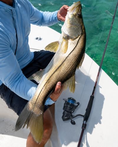AETHERON Seabass Spinning Rods (9'3"-M / Spinning-Fast)