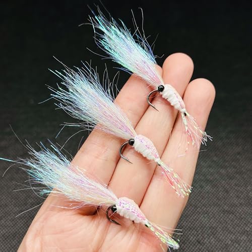 8Pc Bionics Crystal Flash Silk Shrimp Artificial Lures Fly Fishing Flies Saltwater Freshwater Bait Fishing for Bass Trout Salmon Hook Size #6 (Silvery)