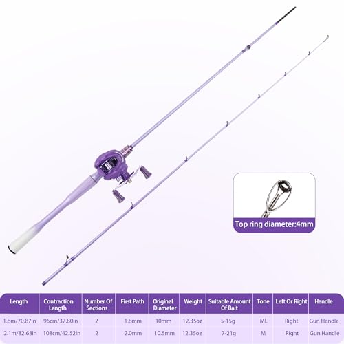 Fishing Pole and Reel Combo