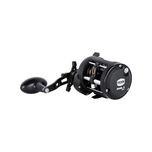 Rival Level Wind Conventional Fishing Reel