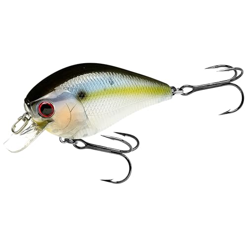 Fat CB BDS2 Fishing Lure