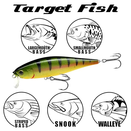 Pointer 100SSR