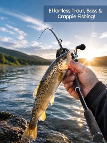 7Ft Casting Fishing Rod (7'0"-Medium-Fast-Black)