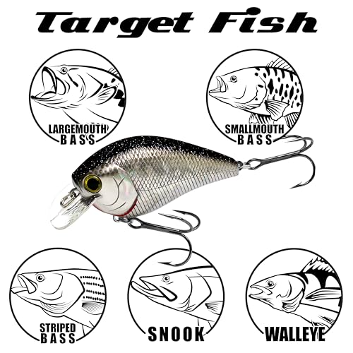 Fat CB BDS2 Fishing Lure (284 Misty Shad)